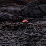 Flowing lava textures symbolizing internal body warmth